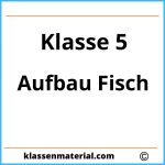 Arbeitsblatt Aufbau Fisch Klasse 5