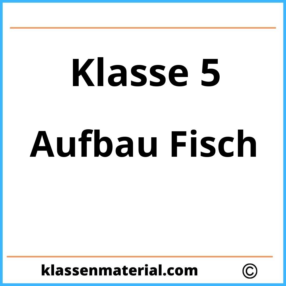 Arbeitsblatt Aufbau Fisch Klasse 5