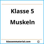 Arbeitsblatt Muskeln 5. Klasse