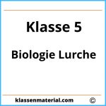 Arbeitsblätter Biologie Klasse 5 Lurche