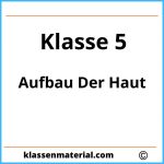 Aufbau Der Haut Arbeitsblatt 5. Klasse