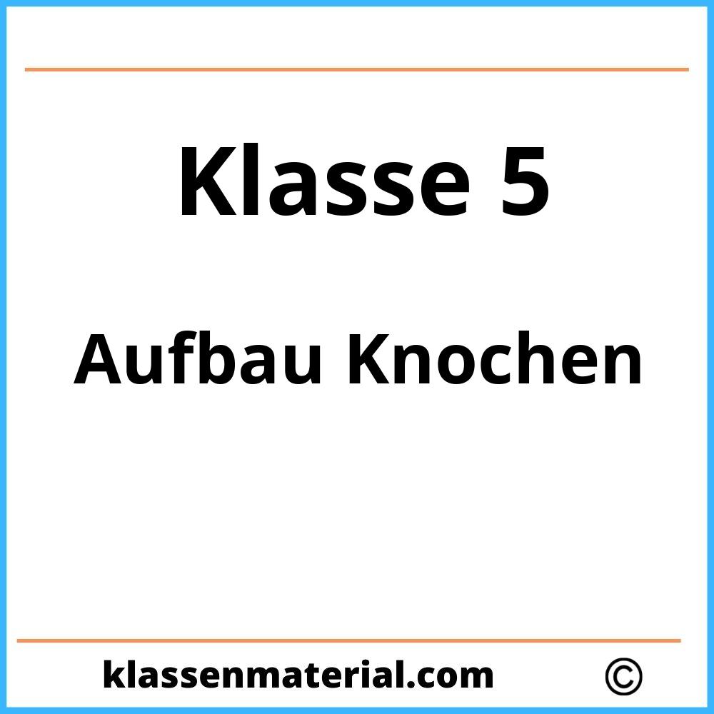 Aufbau Knochen 5. Klasse