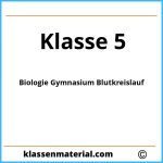 Biologie 5 Klasse Gymnasium Blutkreislauf