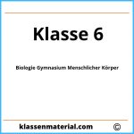 Biologie 6 Klasse Gymnasium Menschlicher Körper