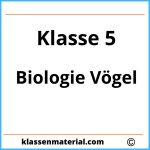 Biologie Klasse 5 Vögel Arbeitsblätter