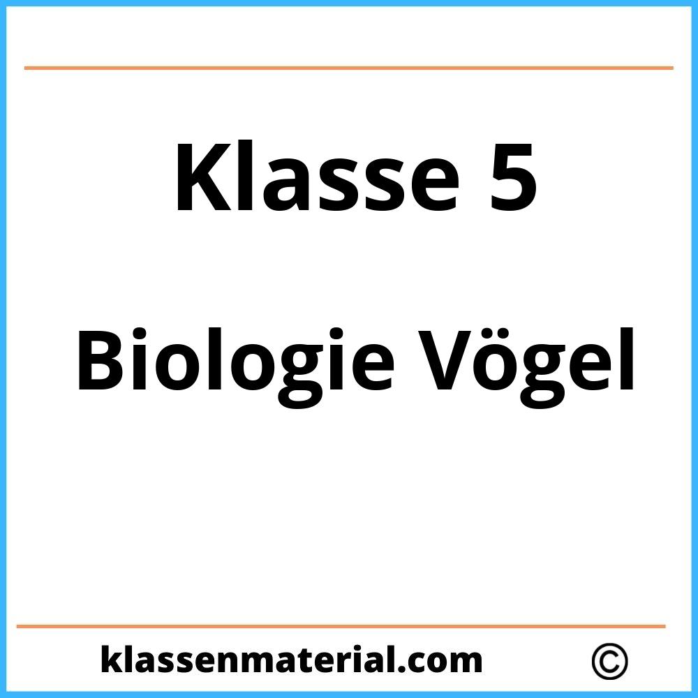 Biologie Klasse 5 Vögel Arbeitsblätter