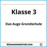 Das Auge Grundschule 3 Klasse