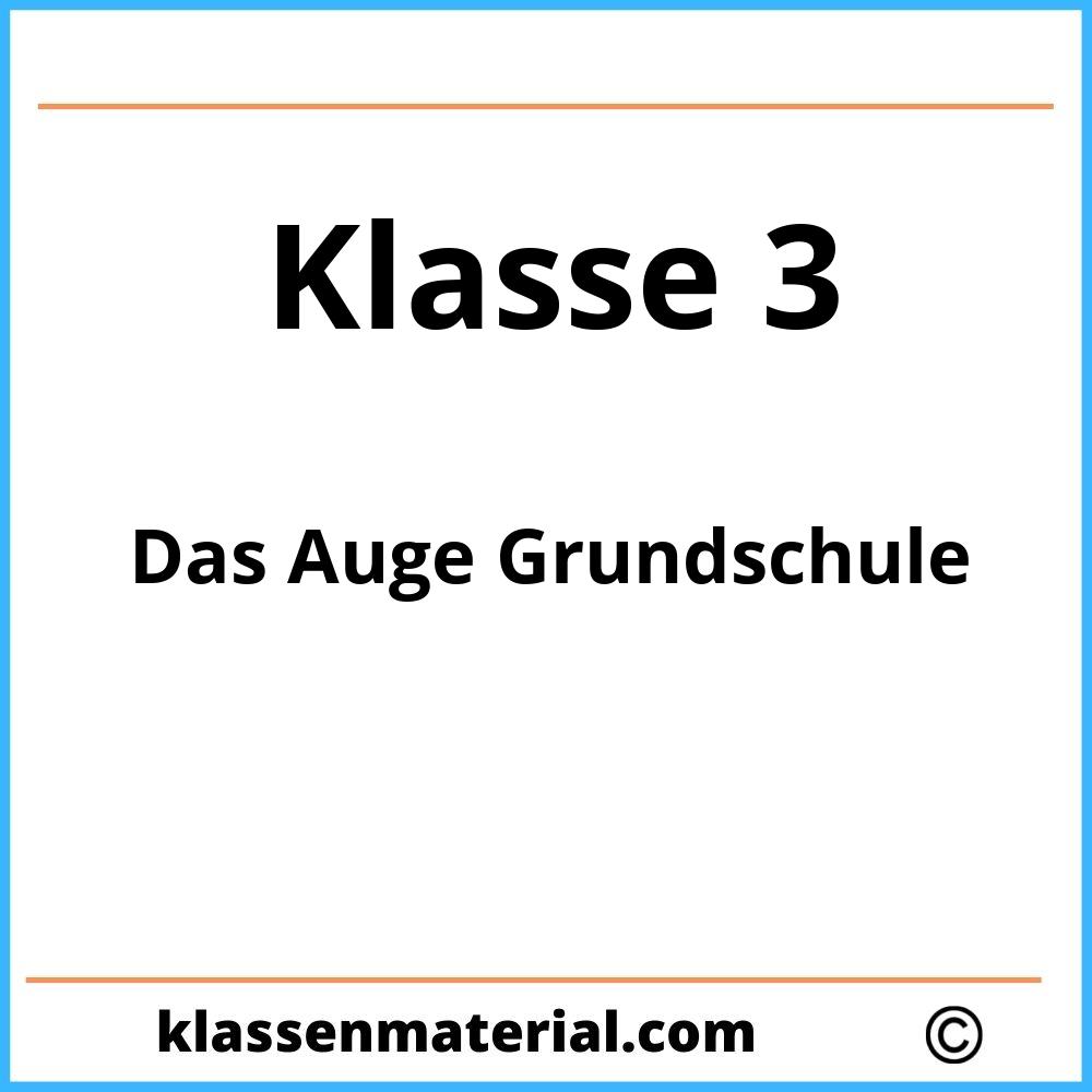 Das Auge Grundschule 3 Klasse