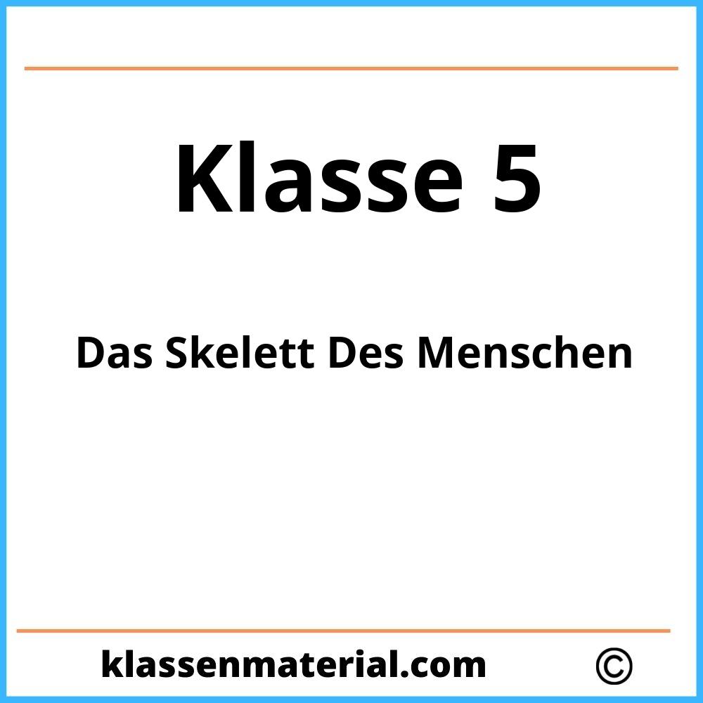 Das Skelett Des Menschen 5. Klasse