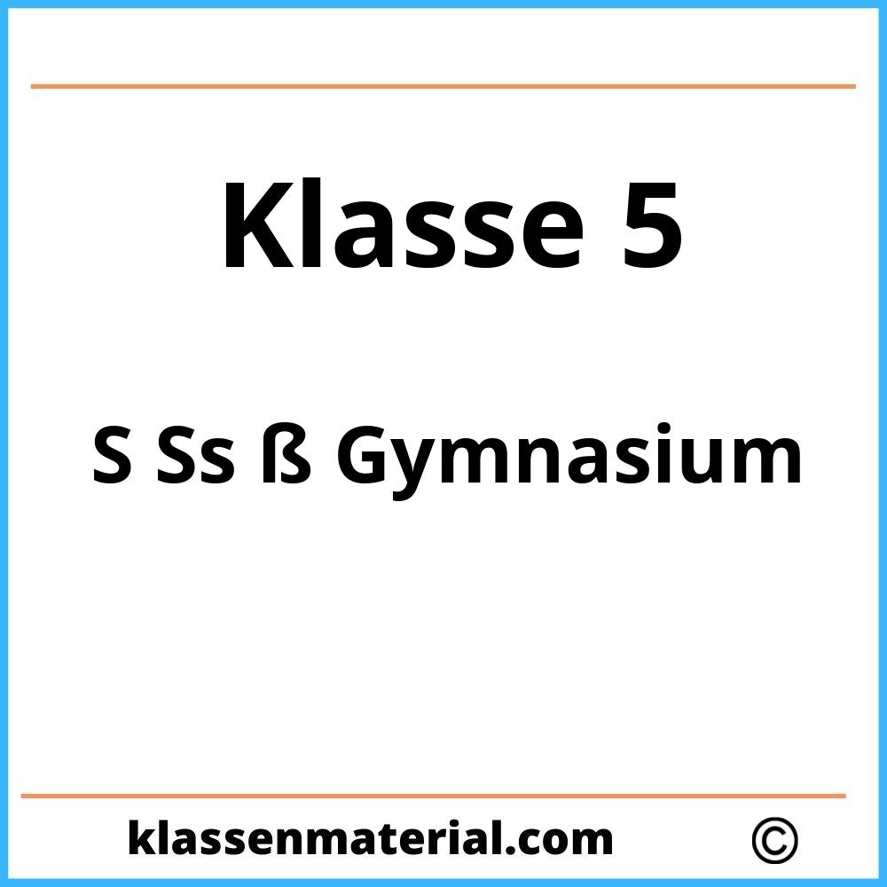 S Ss ß Übungen 5 Klasse Gymnasium