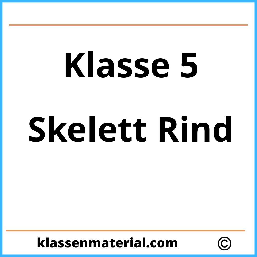 Skelett Rind 5. Klasse