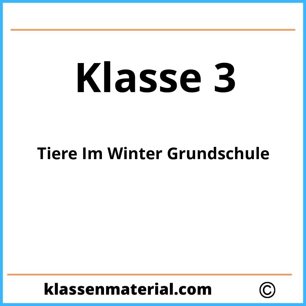 Tiere Im Winter Grundschule Klasse 3