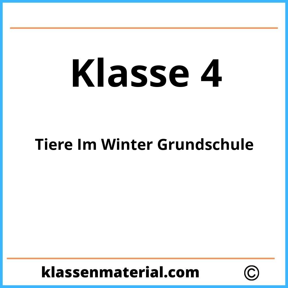 Tiere Im Winter Grundschule Klasse 4