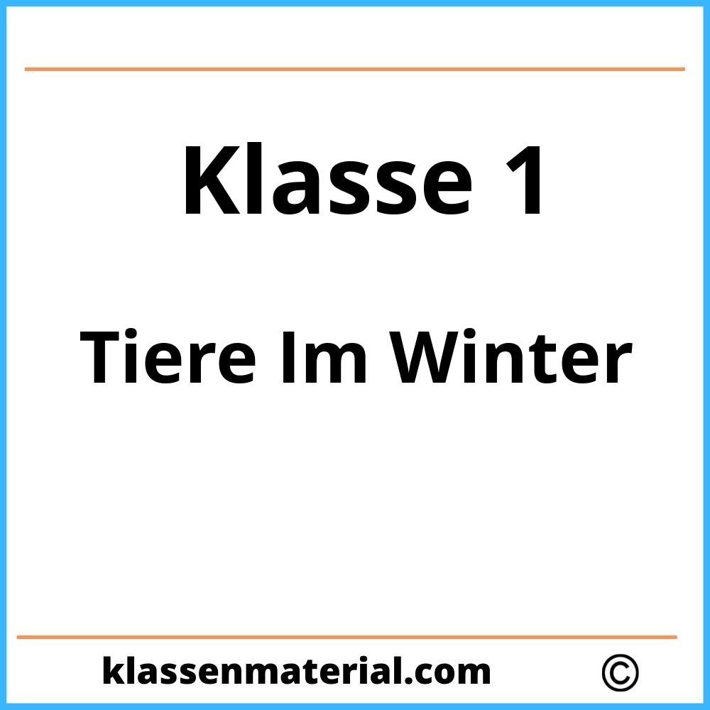 Tiere Im Winter Klasse 1