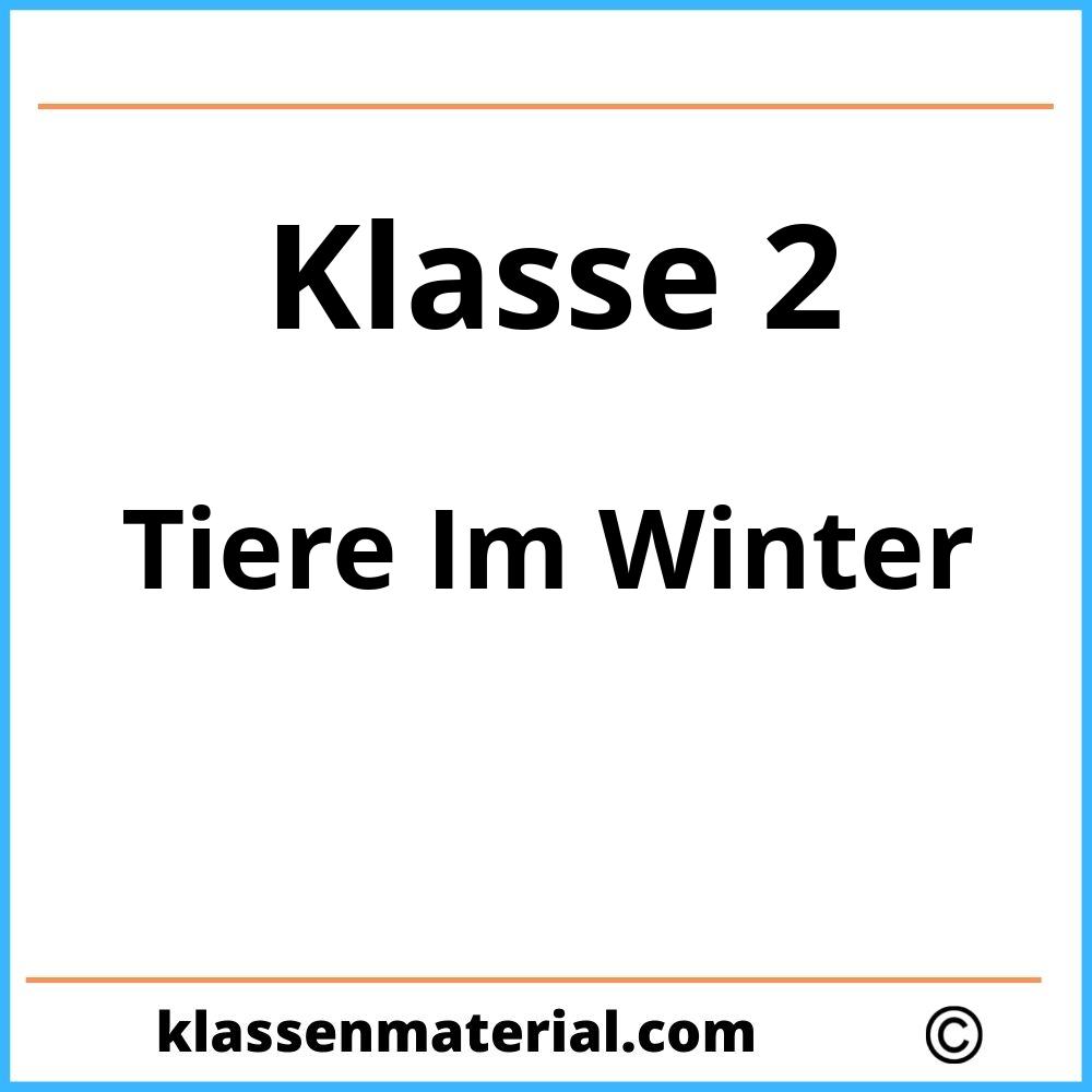 Tiere Im Winter Klasse 2