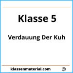 Verdauung Der Kuh 5 Klasse