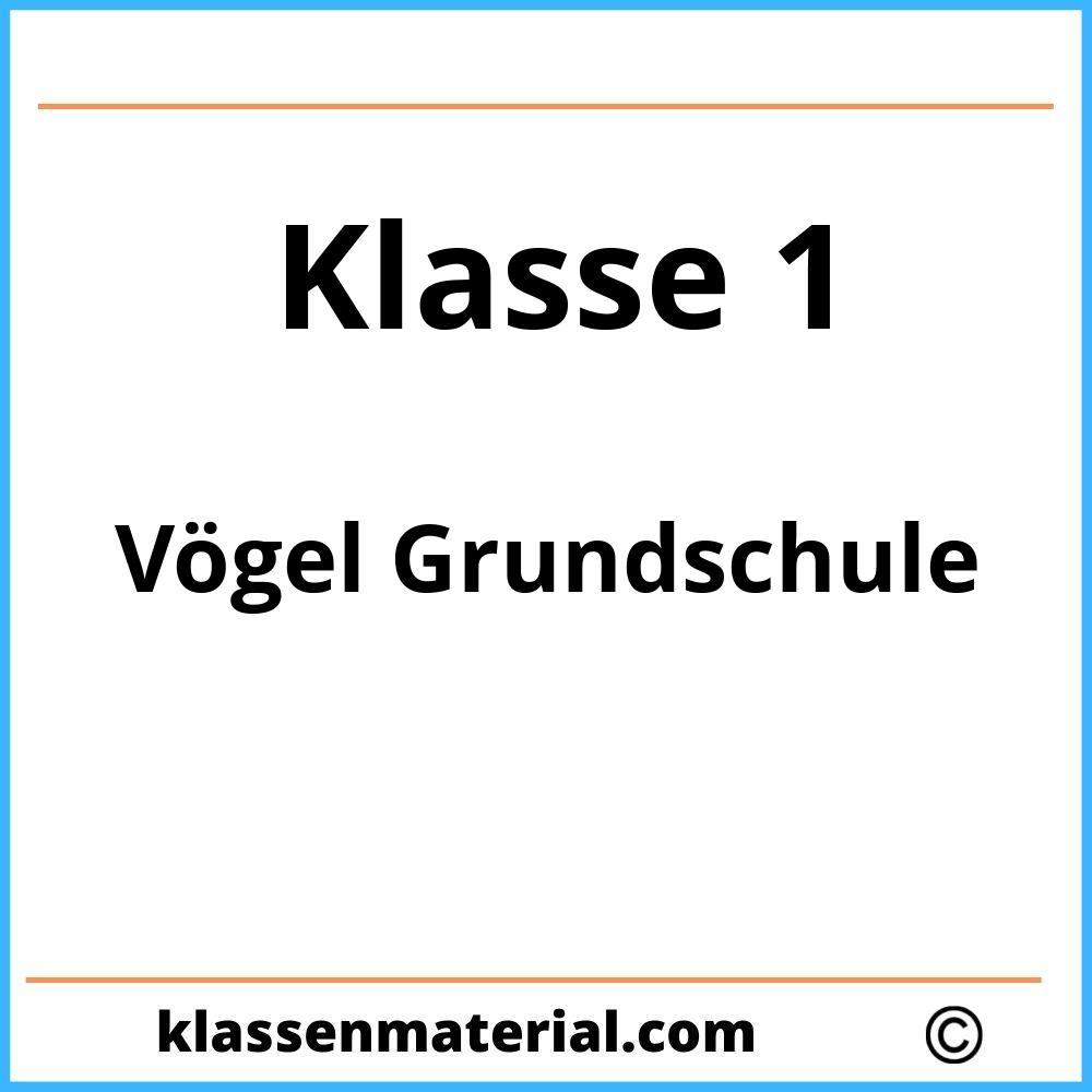 Vögel Grundschule 1. Klasse